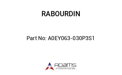 A0EY063-030P3S1