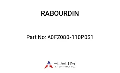 A0FZ080-110P0S1