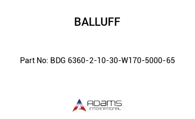 BDG 6360-2-10-30-W170-5000-65									
