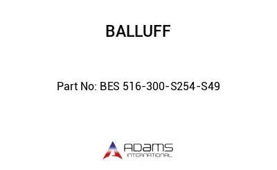 BES 516-300-S254-S49									
