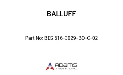 BES 516-3029-BO-C-02									